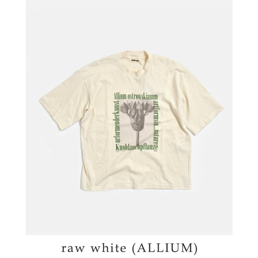 アンダイド UNDYED  オーガニックコットン 半袖 プリントTシャツ Karl Blossfeldt PT-T 26s348a-c レディース  春夏 2026ss新作の画像