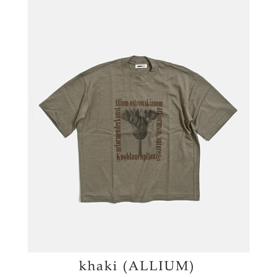 アンダイド UNDYED  オーガニックコットン 半袖 プリントTシャツ Karl Blossfeldt PT-T 26s348a-c レディース  春夏 2026ss新作の画像