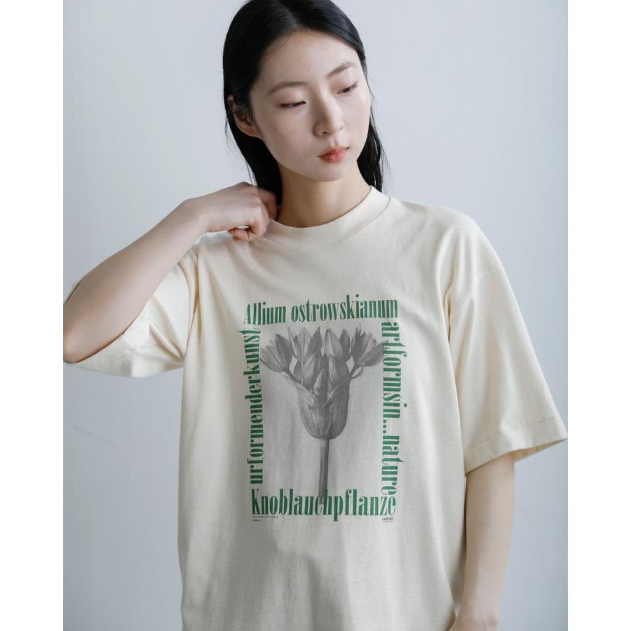 アンダイド UNDYED  オーガニックコットン 半袖 プリントTシャツ Karl Blossfeldt PT-T 26s348a-c レディース  春夏 2026ss新作の画像