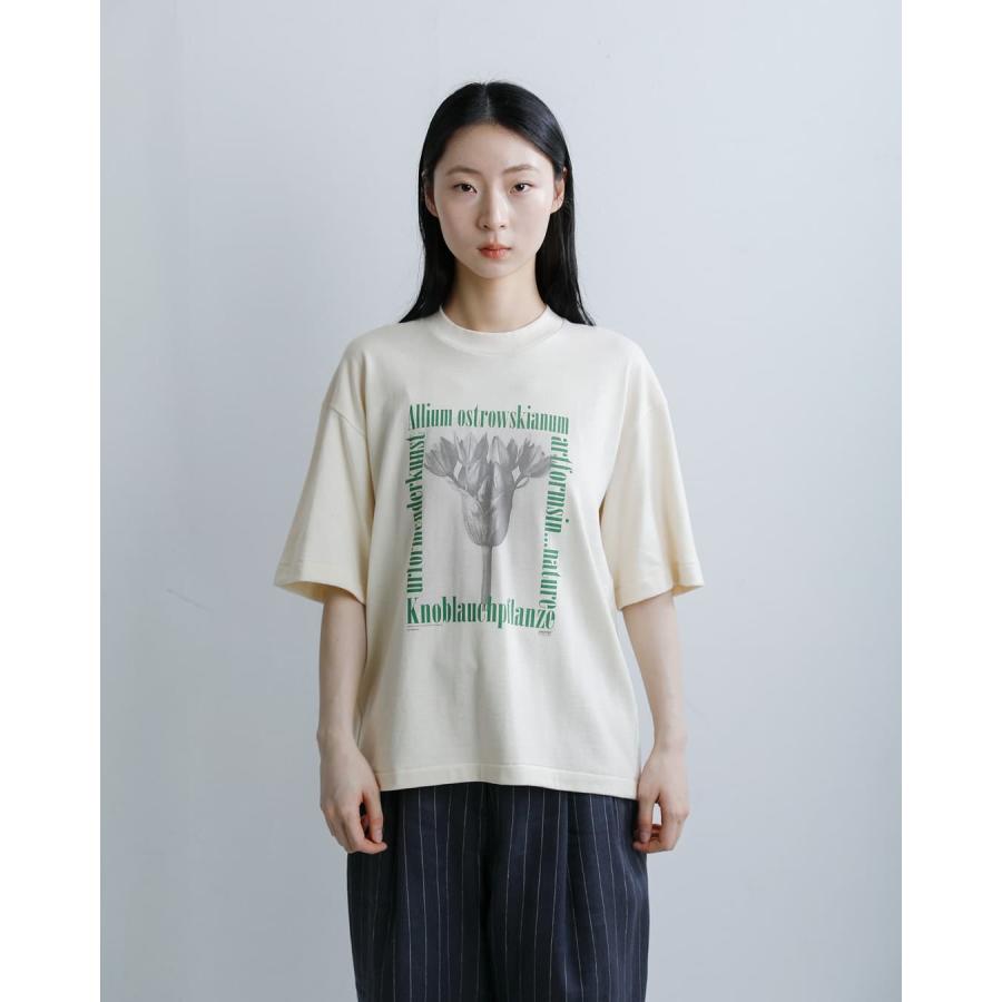 アンダイド UNDYED  オーガニックコットン 半袖 プリントTシャツ Karl Blossfeldt PT-T 26s348a-c レディース  春夏 2026ss新作の画像