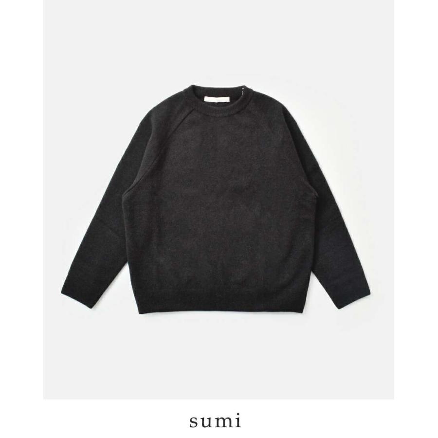 evam eva（エヴァムエヴァ） プレスウール ラグラン プルオーバー