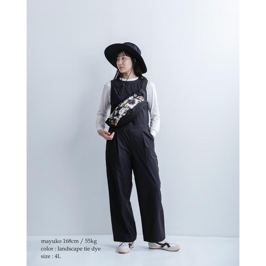 ノースフェイス THE NORTH FACE スウィープ ウエストバッグ 4L Sweep