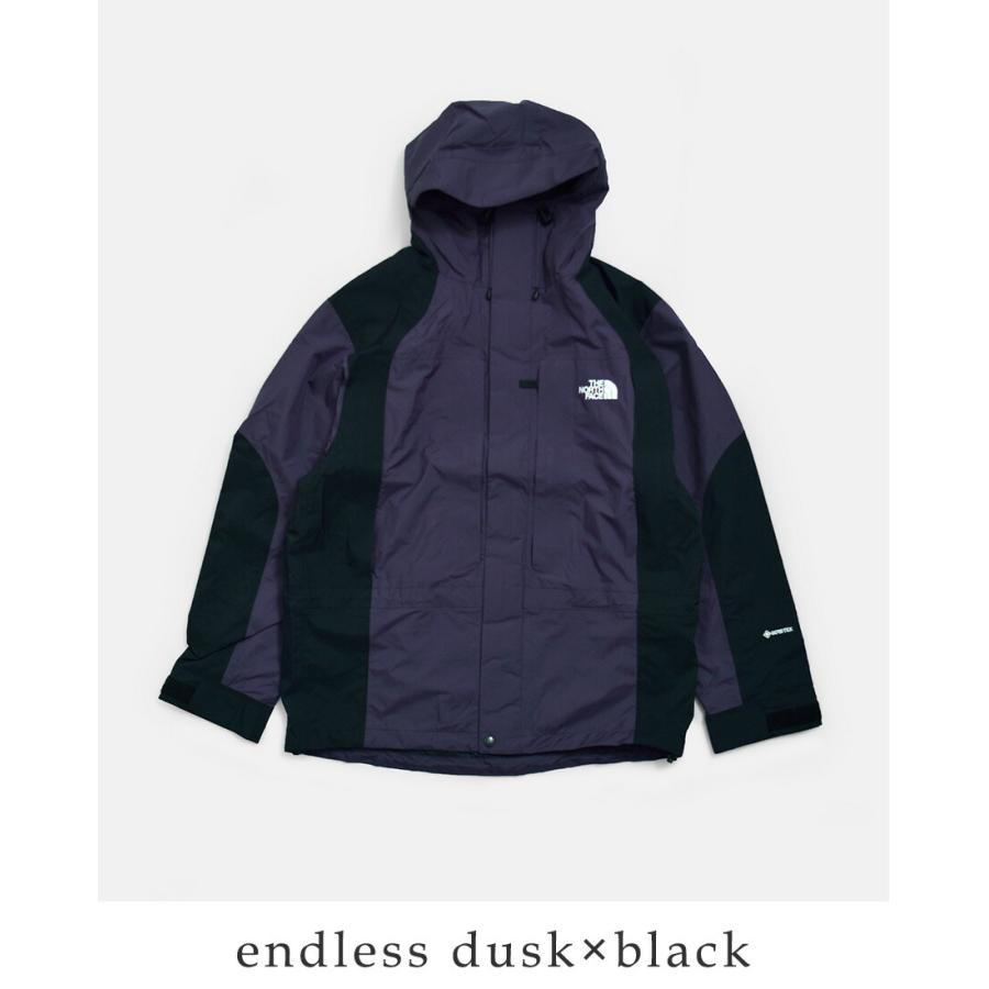 ノースフェイス THE NORTH FACE GORE-TEX レトロマウンテン ライトジャケット 2000 Retro Mountain Light Jacket np12651 ユニセックス 春夏 2026ss新作の画像