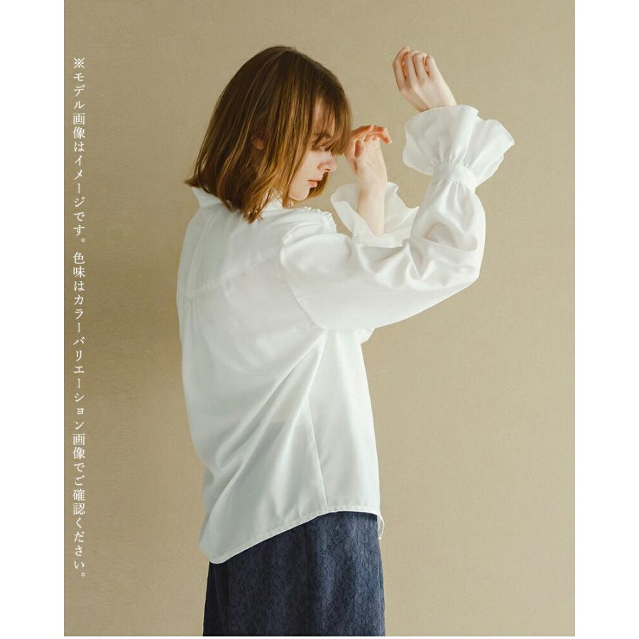 WHYTO（ホワイト） スタンドフリルカラー ブラウス stand frill collar