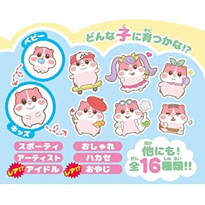 もっちまるず もっちりペット もっちまるず ベリー 92×95×55 もっちまるず B07DN8685Y ゲーム