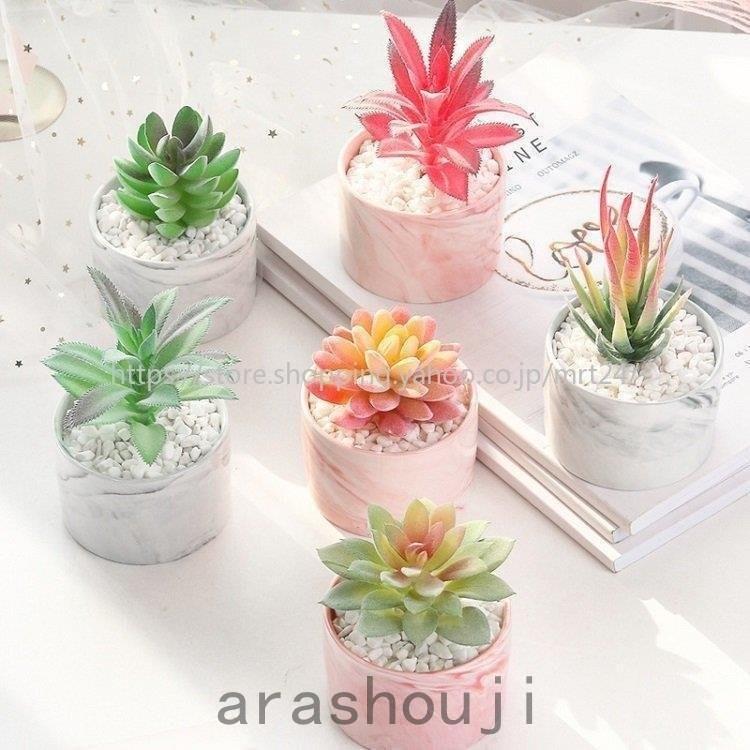6種類選べる 人工多肉植物 2点セット ミニ 植物鉢植え 枯れない 観葉植物 室内 ホーム 庭 デコレーション インテリア プレゼント 可愛い 偽盆栽 装飾用 開店 Pdadc 嵐商会 通販 Yahoo ショッピング