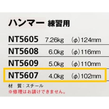 ニシ・スポーツ ニシ・スポーツ（NISHI） ハンマー 練習用 4.0kg