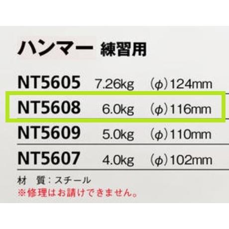 ニシ・スポーツ ニシ・スポーツ（NISHI） ハンマー 練習用 6.0kg