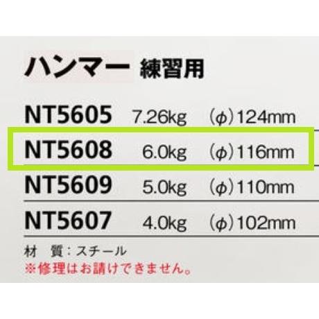 ニシ・スポーツ（NISHI） ハンマー 練習用 6.0kg NT5608 ハンマー投