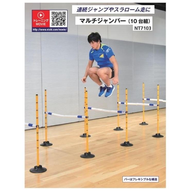 ニシ・スポーツ（NISHI） マルチジャンパー 用 フレキバー NT7103Y