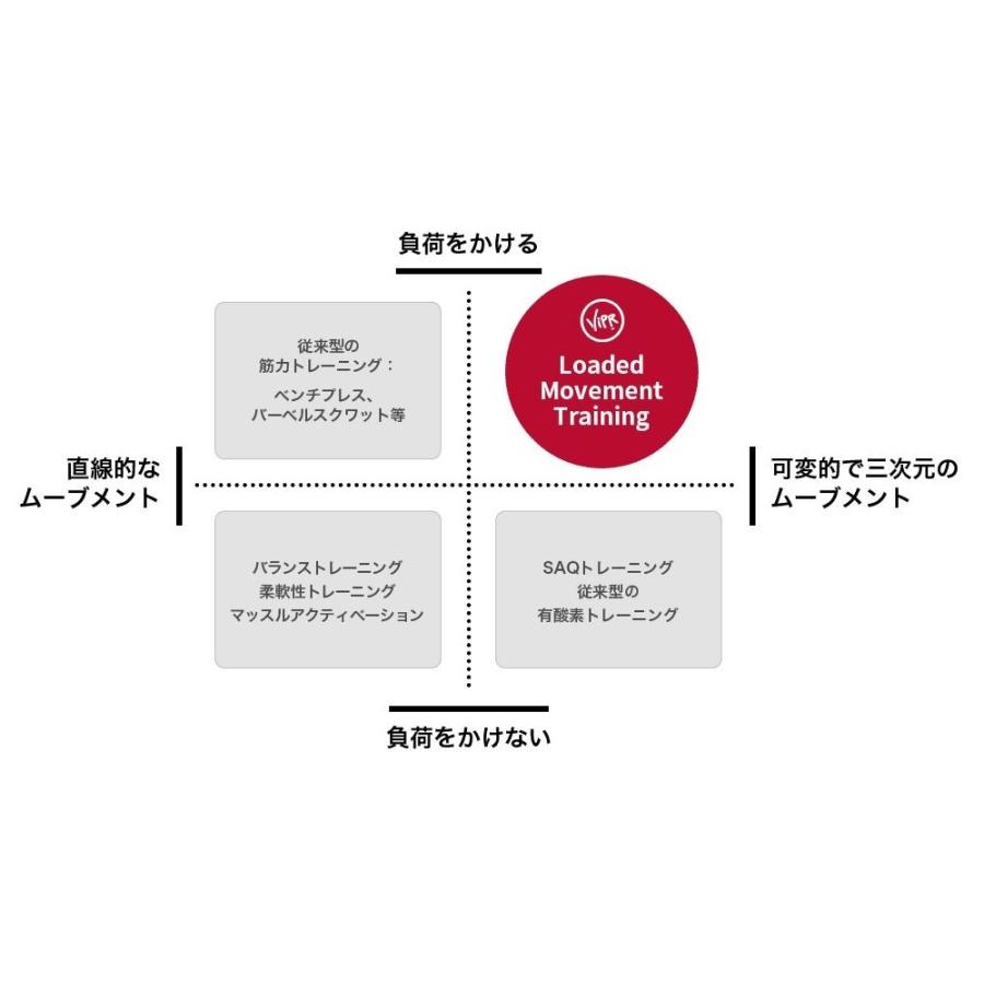 バイパー 8kg 直送品 【送料無料（離島別途）】 ViPRの画像