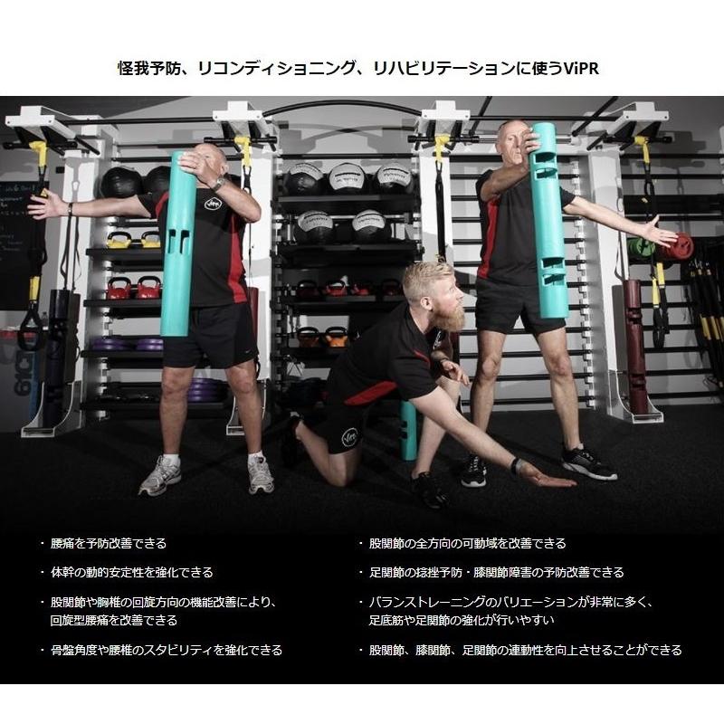 バイパー 8kg 直送品 【送料無料（離島別途）】 ViPRの画像