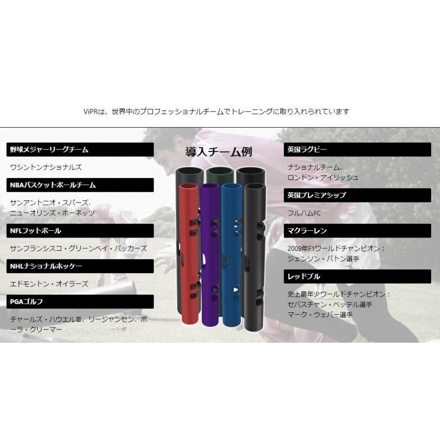 バイパー 8kg 直送品 【送料無料（離島別途）】 ViPRの画像