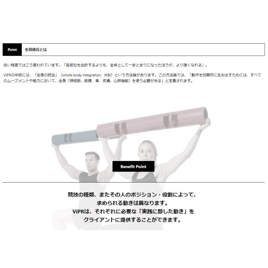バイパー 8kg 直送品 【送料無料（離島別途）】 ViPRの画像