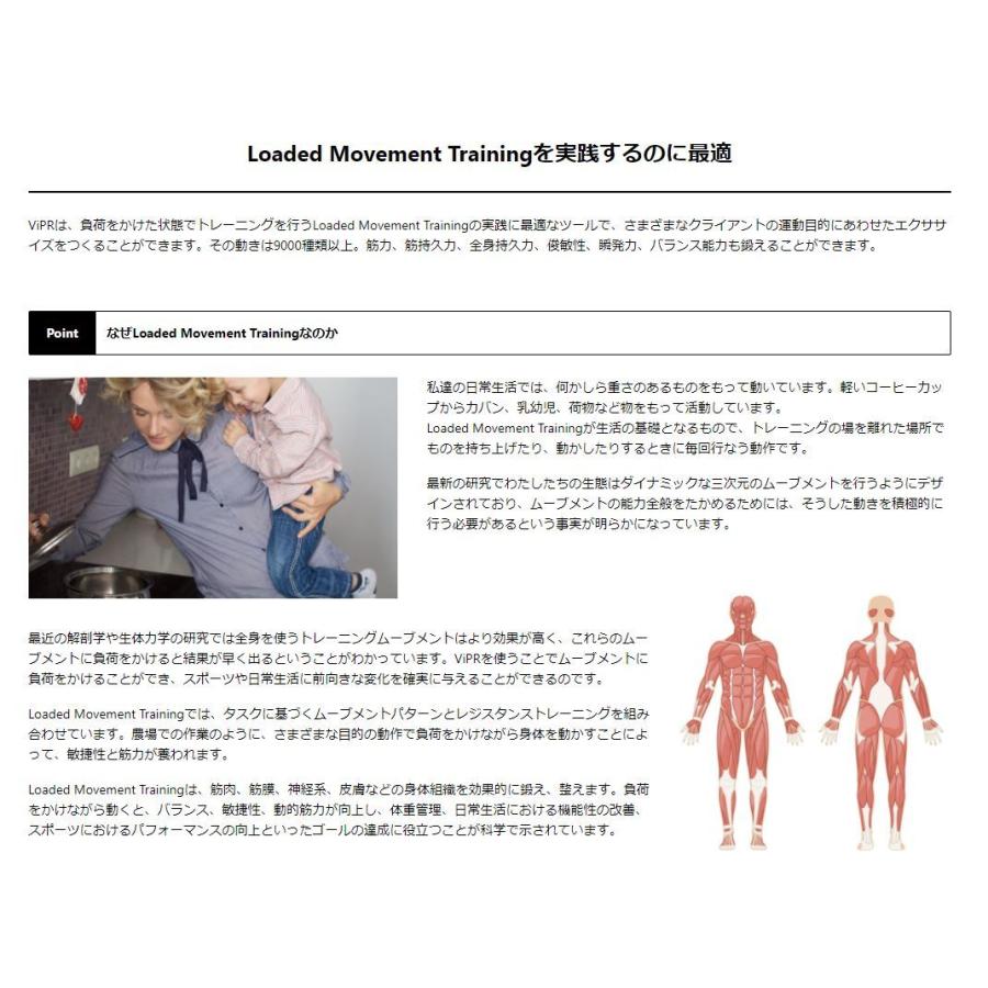 バイパー 8kg 直送品 【送料無料（離島別途）】 ViPRの画像