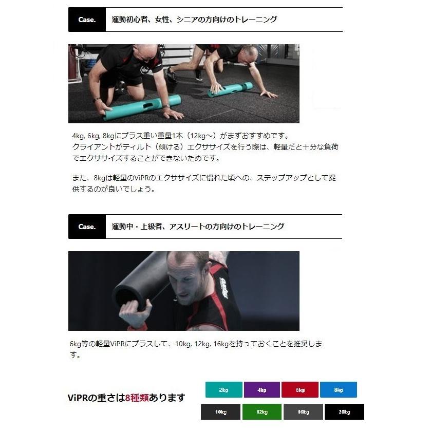 バイパー ライト 3本セット（4、6、8kg） 直送品 パーソナル