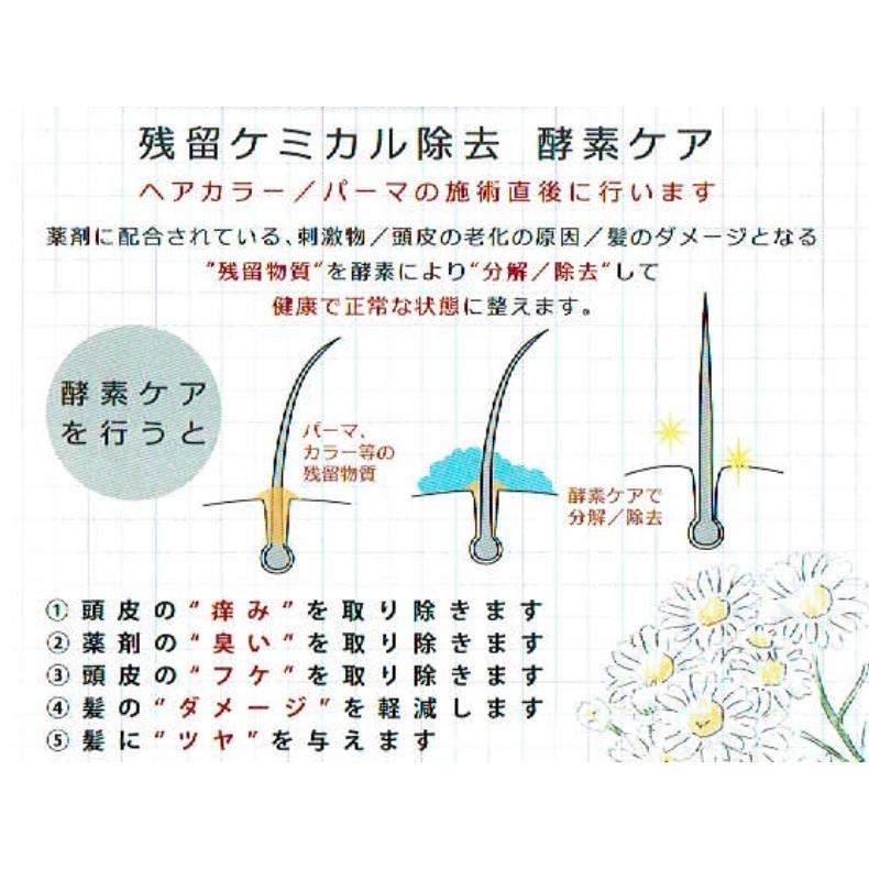 IBC enz-SQ 酵素ローション for スカルプ&ヘア 本体＋つめかえセット 単品 (エンザ エスキュー)｜araucaria｜07