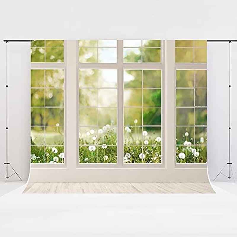 5年保証 写真館 2 2x1 5m 背景布 撮影 ブラック 人物撮影 黒 その他