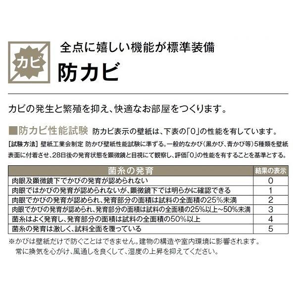 のり無し壁紙 サンゲツ SP2892 〔無地〕 92cm巾 45m巻 : ds-2462220