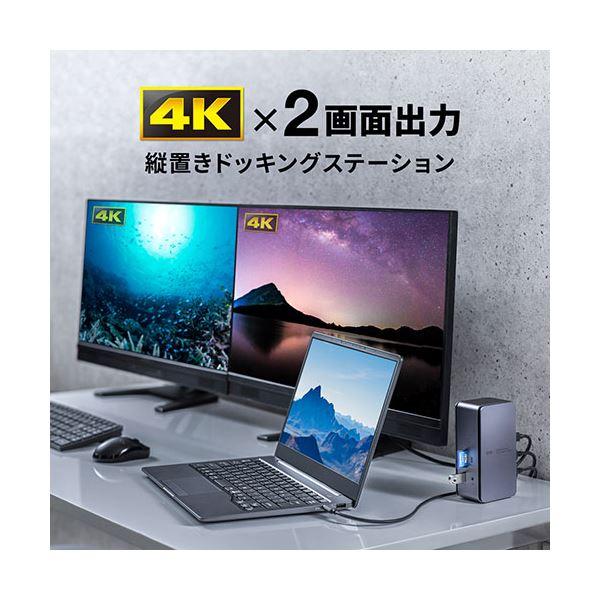 激安で販売 サンワサプライ USB Type-Cドッキングステーション(HDMI×2画面出力対応) USB-CVDK12