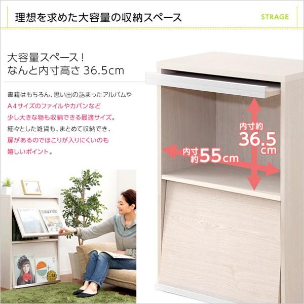 収納家具 DEALS-ディールズ- フラップ扉2枚タイプ マガジンラック