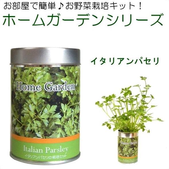 Sale 71 Off ホームガーデンs 送料込み イタリアンパセリ 栽培キット 栽培セット 家庭菜園 おしゃれ お野菜 園芸 リビング ダイニング キッチン