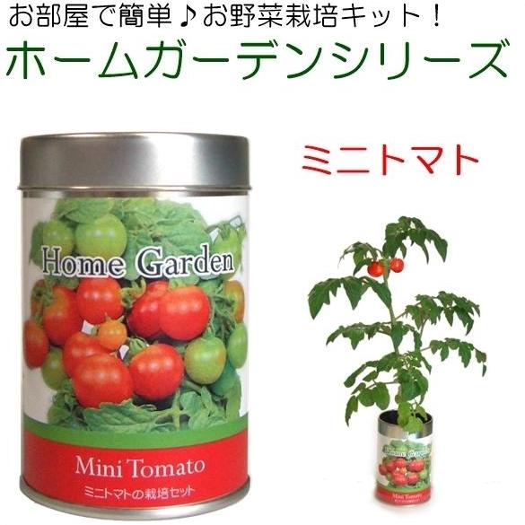 ホームガーデンs 送料込み ミニトマト 栽培キット 栽培セット 家庭菜園 おしゃれ お野菜 園芸 リビング ダイニング キッチン Araya Plus 通販 Yahoo ショッピング