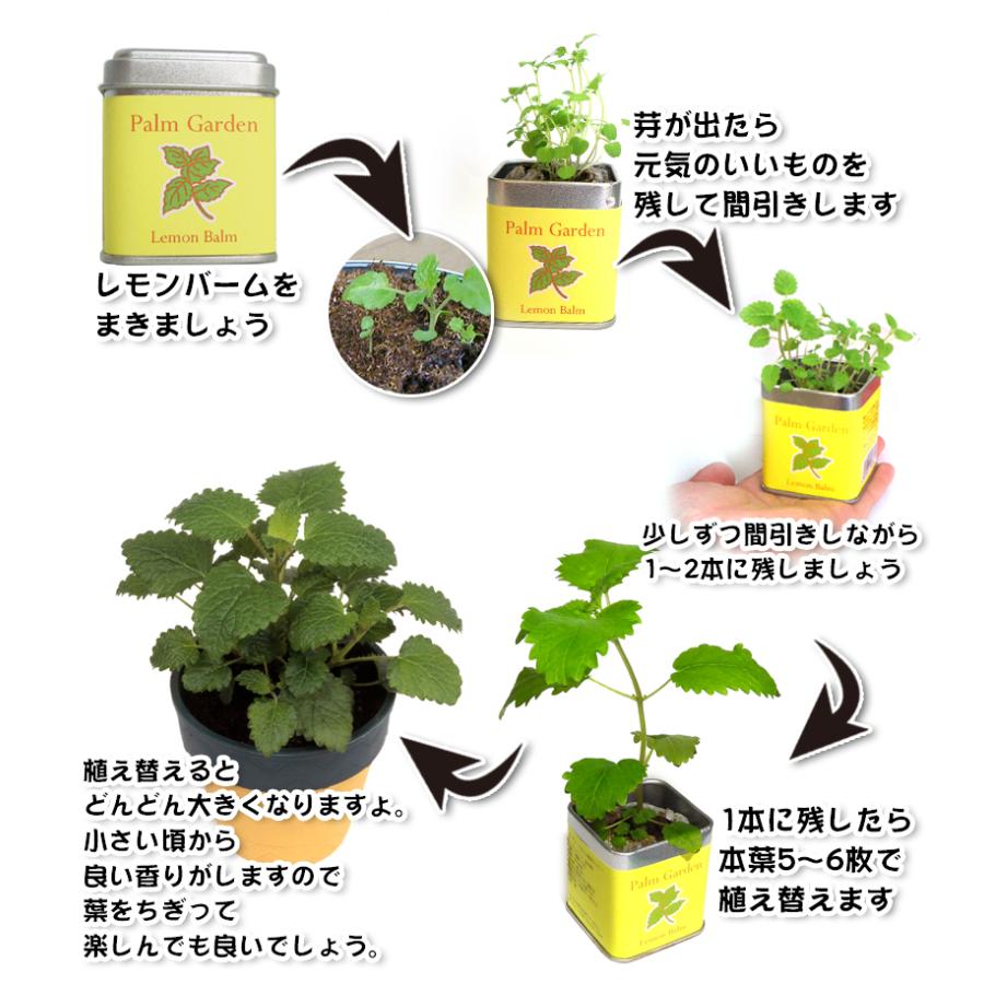 栽培キット 小さな栽培セット パームガーデン おしゃれ 種 苗 野菜