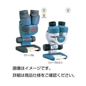 国内外の人気 ニコン小型双眼実体顕微鏡ファーブルミニ 日時指定不可 自由研究 実験器具 Filipensesmadrid Net