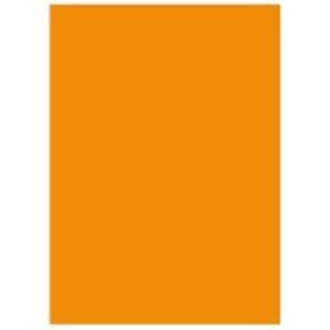 (業務用5セット) 北越製紙 カラーペーパー/リサイクルコピー用紙 〔A5 500枚×10冊〕 日本製 オレンジ送料込み