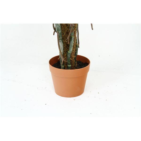 初回限定 観葉植物 フェイクグリーン スプリット 22 6号鉢対応 幅80cm リビング ガーデニング 代引不可 送料込み 数量限定 特売 Www Maxipiso Com Ar