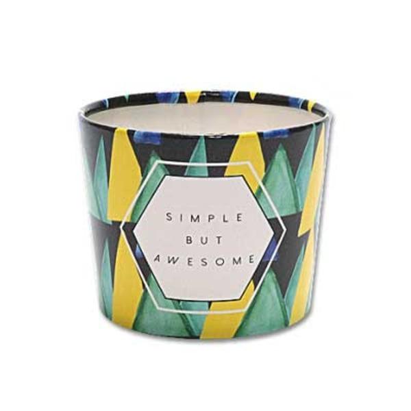 長野史子 スノウボウル コップ 2個セット 食卓をセンスアップする