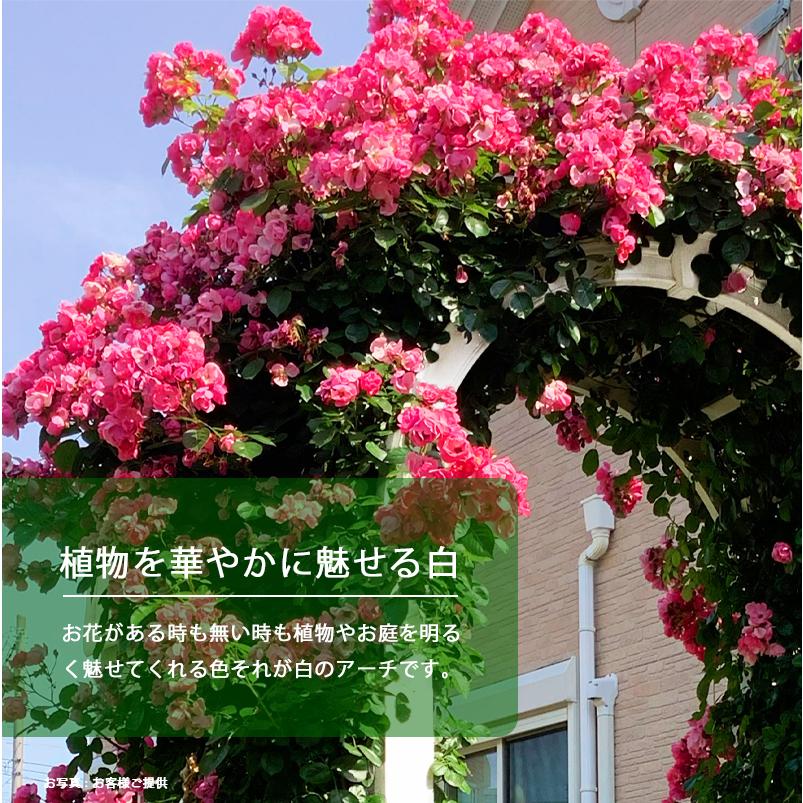 バラアーチ 薔薇 ローズアーチ ガーデンアーチ 腐らない 樹脂製
