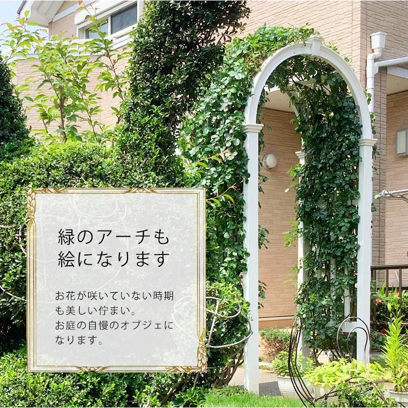 バラアーチ 薔薇 ローズアーチ ガーデンアーチ 腐らない 樹脂製