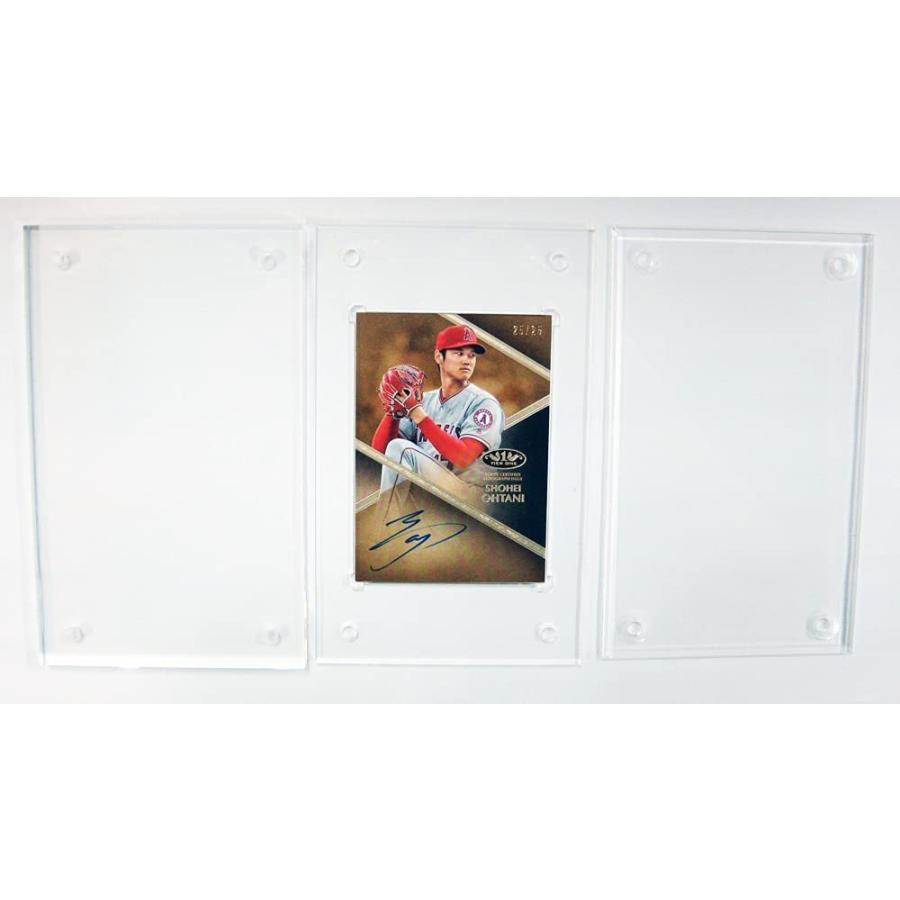 Ultra・PRO 【新品】UltraPRO ルーサイト ブリック スクリュー