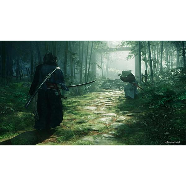 【新品】PS5 Rise of the Ronin Z version【CERO:Z】の画像