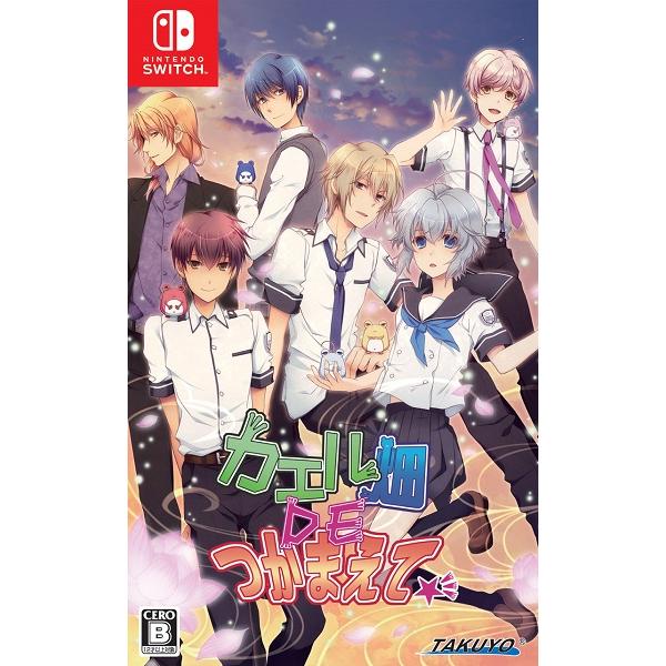 カエル畑 DE つかまえて Switch ソフト 新品】Switch カエル畑DEつかまえて☆彡 : アークオンライン Yahoo!店