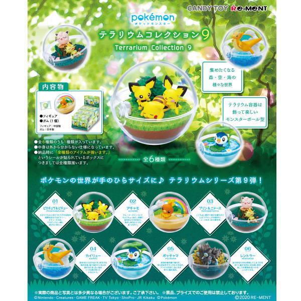 新品 リーメント ポケットモンスター テラリウムコレクション9 ガム Box 6個入