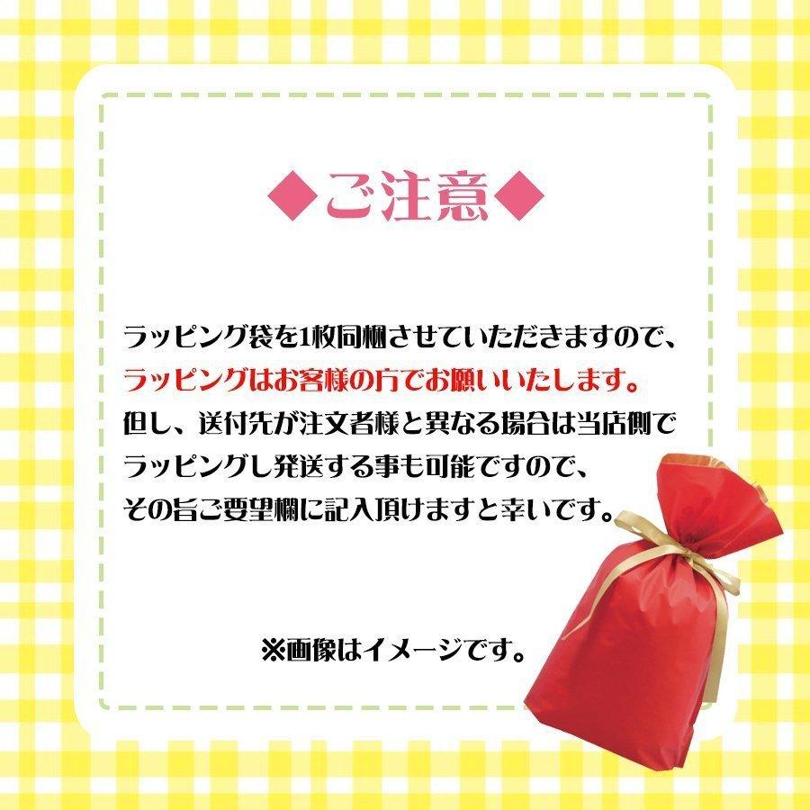 任天堂 【セット】Switch あつまれどうぶつの森+スイッチライト
