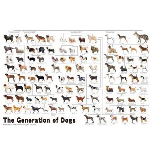 エポック社（EPOCH） 【新品】ジグソーパズル めざせ!パズルの達人 犬