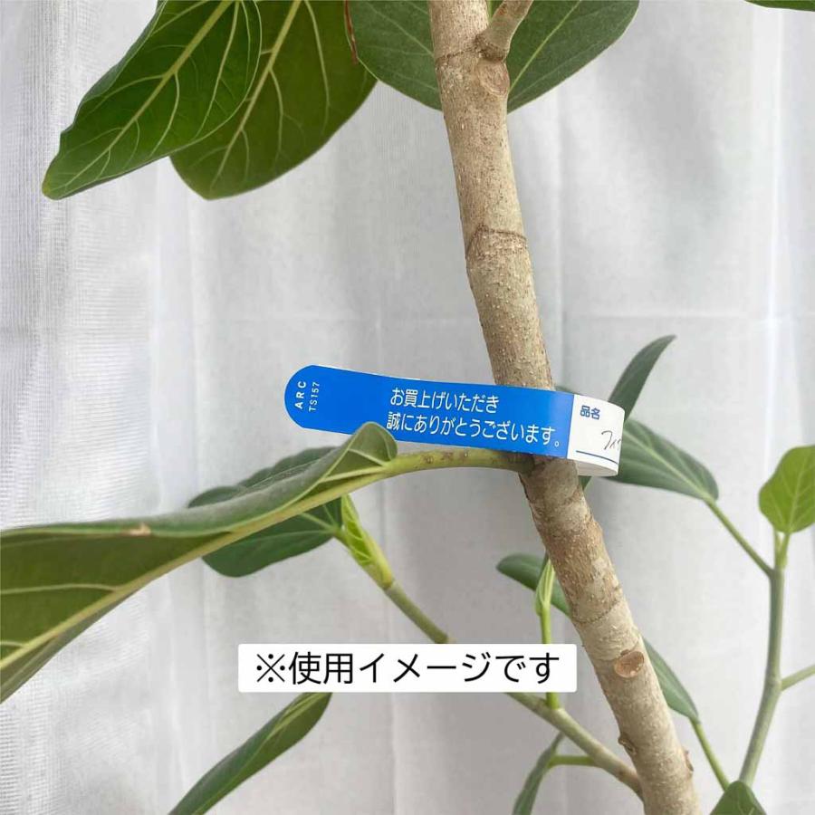 ARC製 園芸用枝巻きラベル TS154B 青 (1000枚入) 15×150mm フラワー