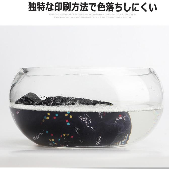 4枚セット ボクサーパンツ メンズ ボクサーブリーフ 下着 メンズファッション ボクサーパンツ/爆買 | ARCADE | 17