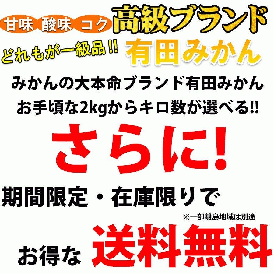 みかん 訳あり ５kg ブランド 和歌山 有田みかん ありたみかん 農家直送 送料無料 人気 柑橘類 お歳暮 ギフト 温州みかん ありだみかん わけあり フルーツ Arcade 通販 Paypayモール