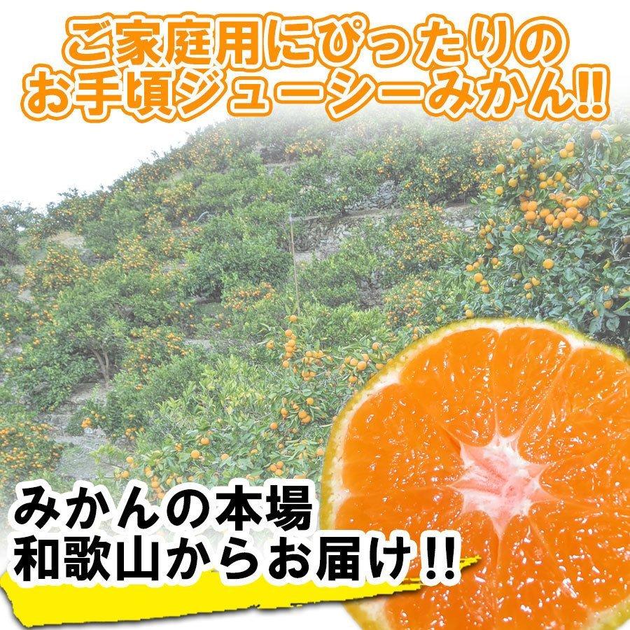 有田みかん農家直送ブランド味わい美人極旨小粒箱込み２０キロ 有田みかん農家直送ブランド味わい美人極旨小粒箱込み20キロ