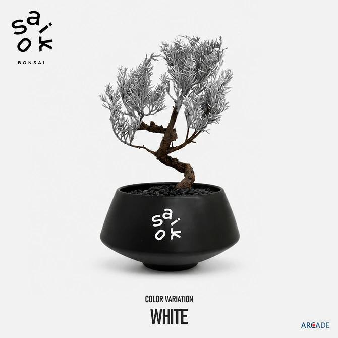 SAIKO BONSAI 盆栽 枯れないインテリアアート盆栽 saiko盆栽 サイズ