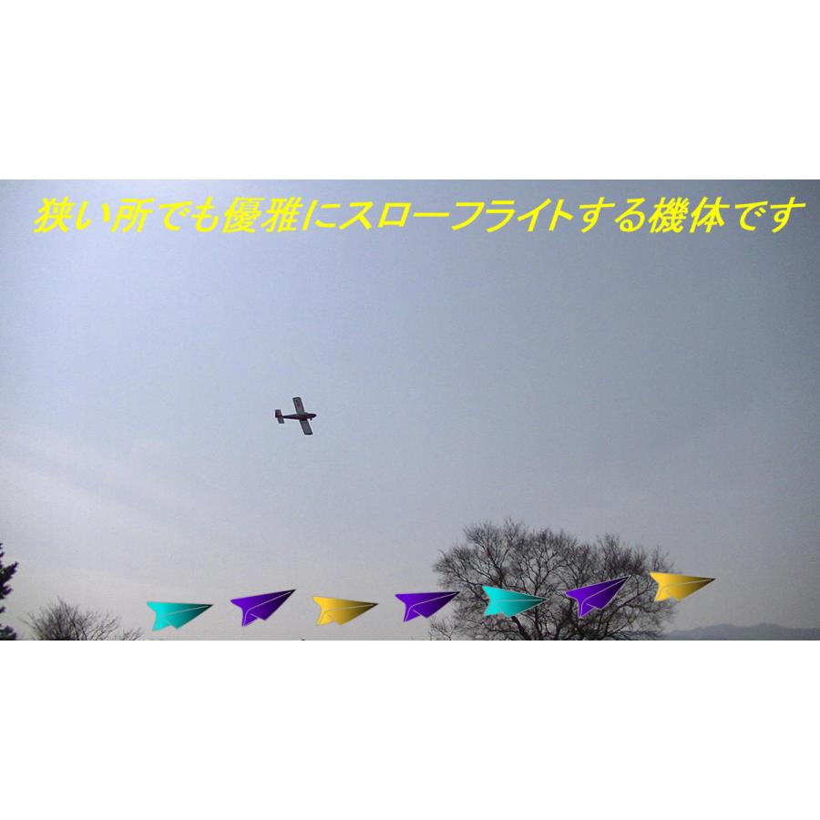 航空法規制外】「エアロスバル」重量55g 翼長477mm 小型飛行機 リブ