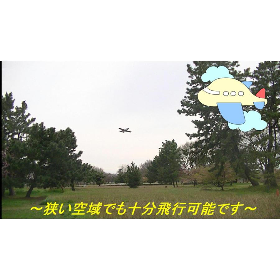 航空法規制外】「BD−5」重量66g 翼長474mm ミニ機 リブ レーザー