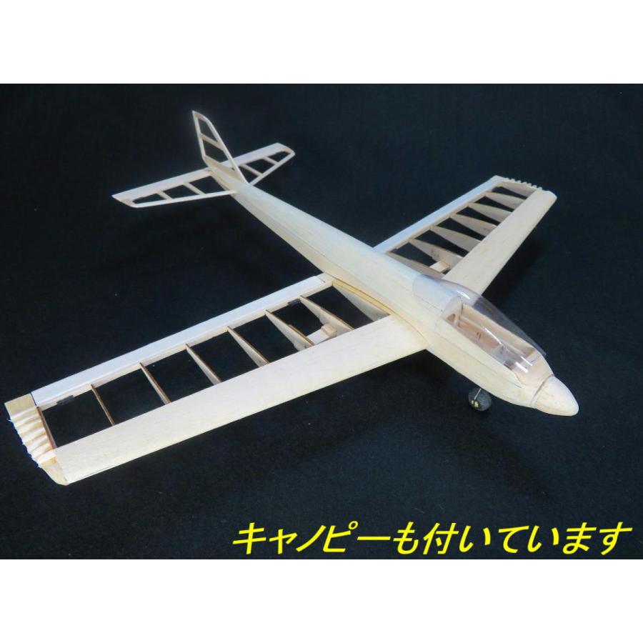 航空法規制外】「ブルーエンジェル」重量53g 翼長480mm ミニ 航空法規制外】「ブルーエンジェル」重量53g 翼長480mm ミニ