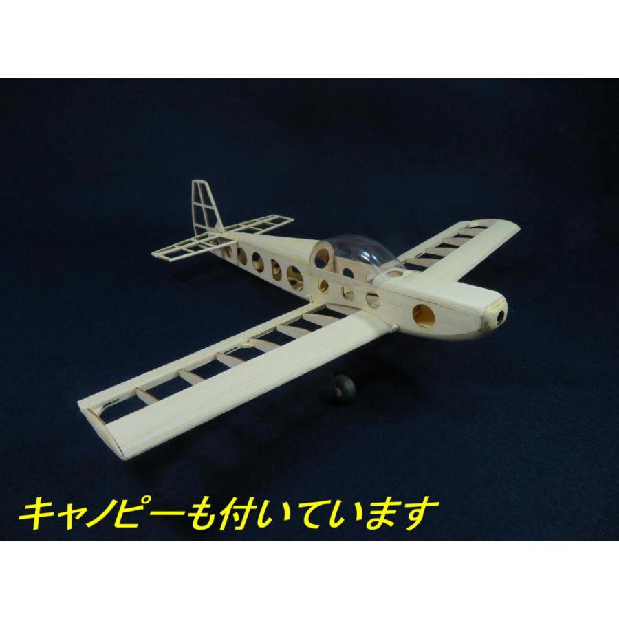 航空法規制外】「CAP21」 重量48g 翼長380mm リブ レーザーカット