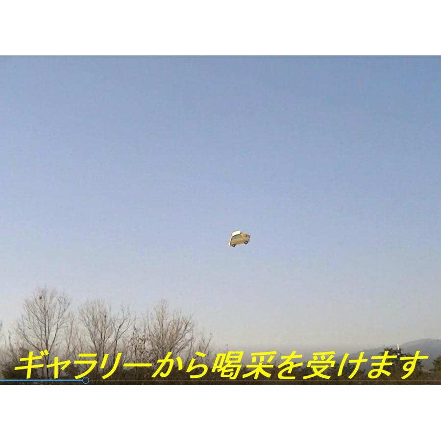 航空法規制外】「スバル360」重量70g 全長263mm 自動車型ラジコン